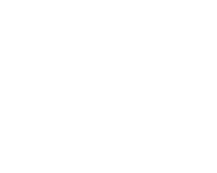 Bose Logo